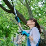 Tree Pruning Near Me: How to Find a Qualified Arborist in Your Sydney Suburb