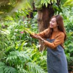 How Much Does Tree Pruning Eastern Suburbs Cost?